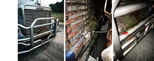 Deer Guard Deer Guard Just thought I’d share this with you. 70 mph deer crossing in Pennsylvania.”
– Bryan Ritts